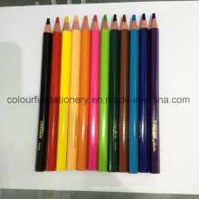 Customized Logo 12 Color Pencil Set